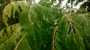 IMG_20140905_153815408