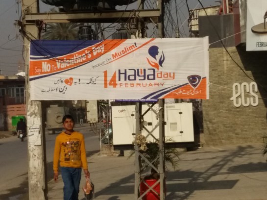 IMG_20160215_0917454_rewind