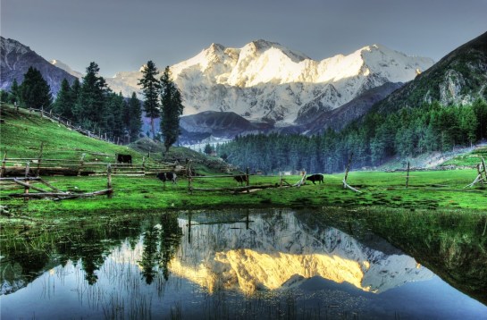 fairy-meadows